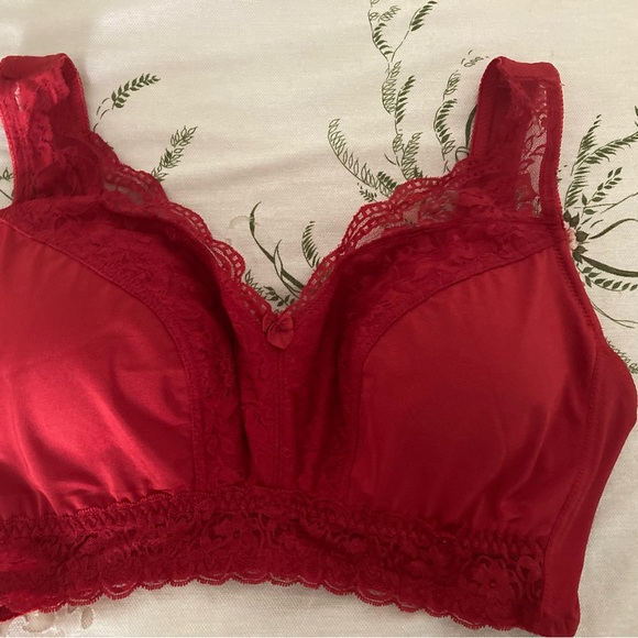 Rhonda Shear Other - Rhonda Shear Pin Up Style Red Lace Bra